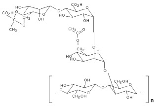 Xanthan (Molek&uuml;l)