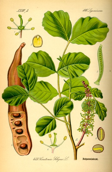 Ilustration